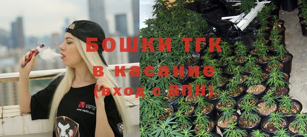 гашик Алексеевка