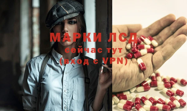 гашик Алексеевка