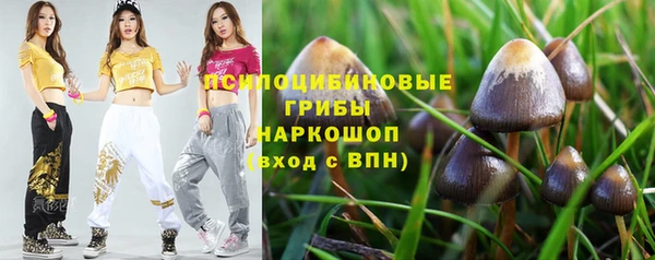 гашик Алексеевка