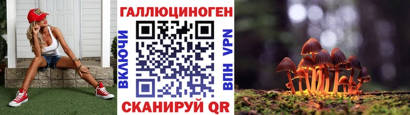 Псилоцибиновые грибы Magic Shrooms  Куса 